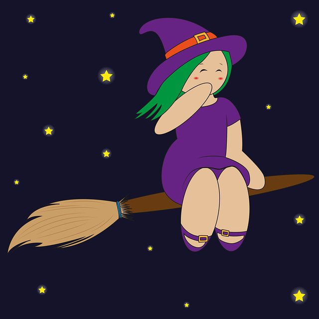 Free witch broom fly vector