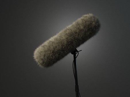 Free The Mic Microphone photo and picture