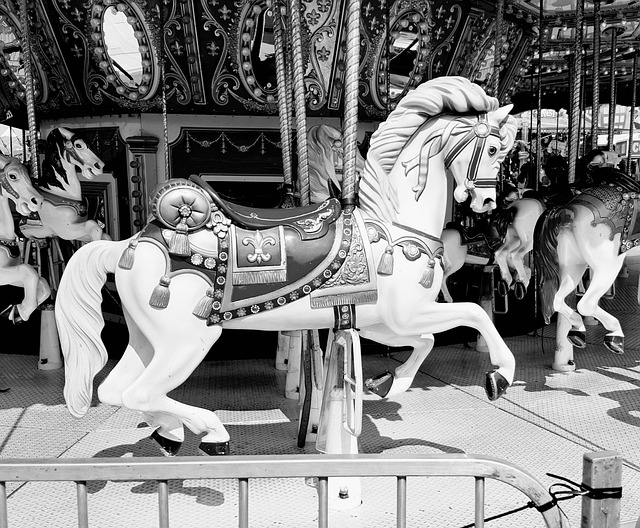 Messe, Karussell, Pferd, Graues Pferd