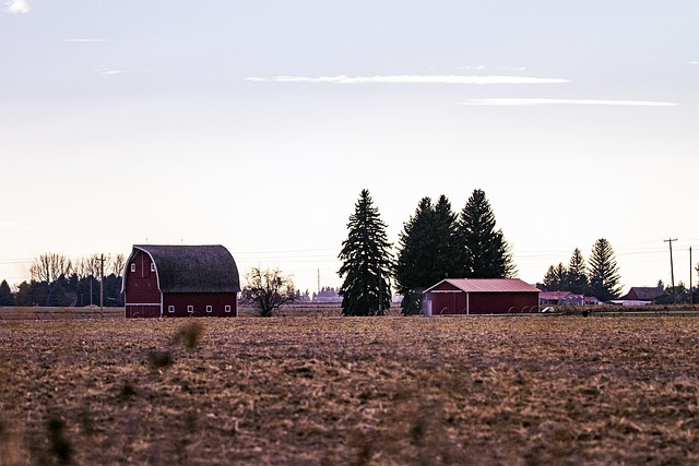 Bauernhof, Ost, Idaho, Scheune, Feld