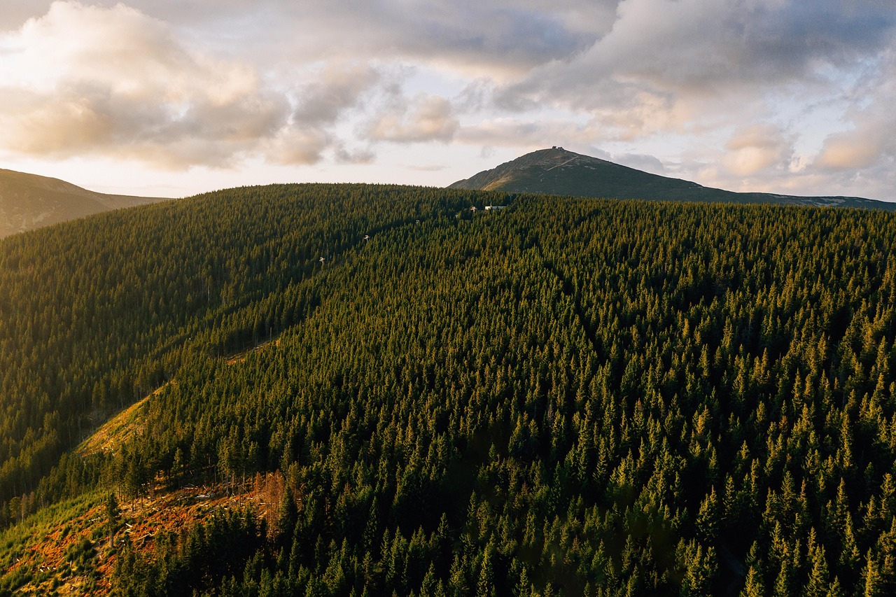 Aerial - free online jigsaw puzzle photo