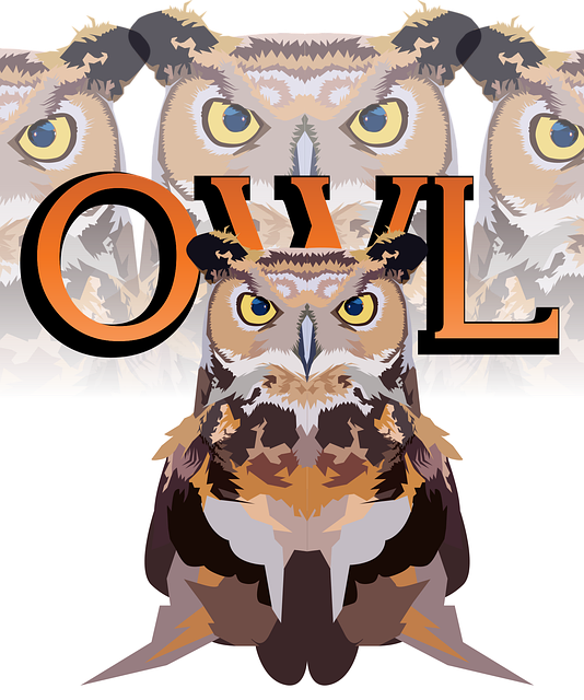 Búho, Pájaro, Animal, Fauna Silvestre