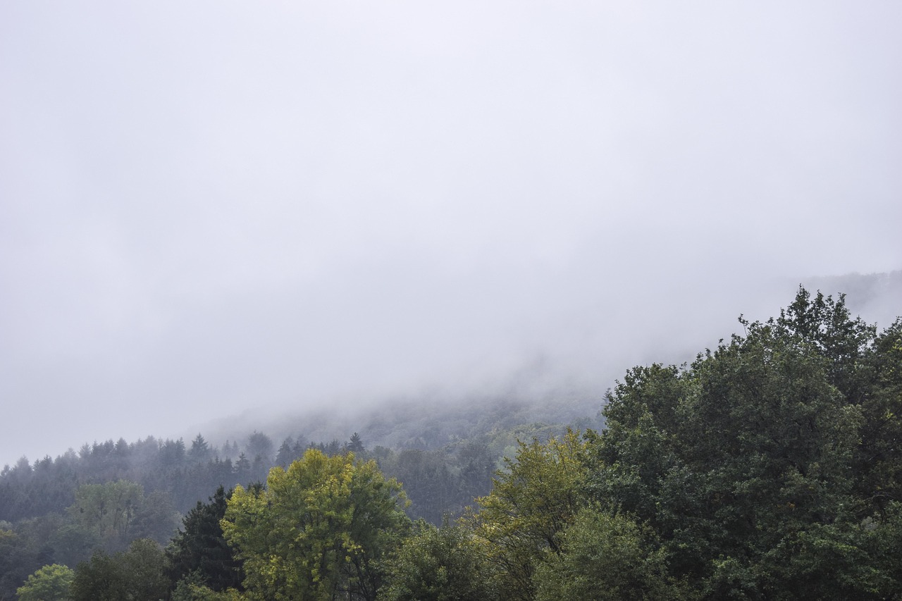 Landscape - free online jigsaw puzzle photo