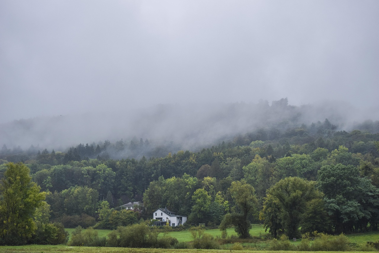 Landscape - free online jigsaw puzzle photo