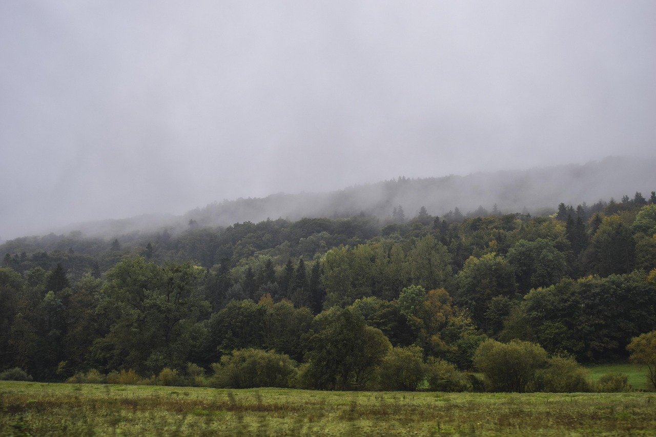 Landscape - free online jigsaw puzzle photo