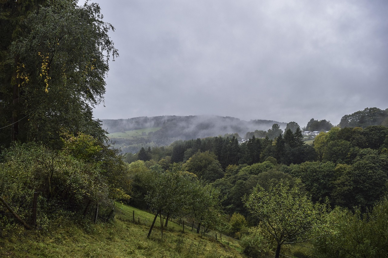 Landscape - free online jigsaw puzzle photo