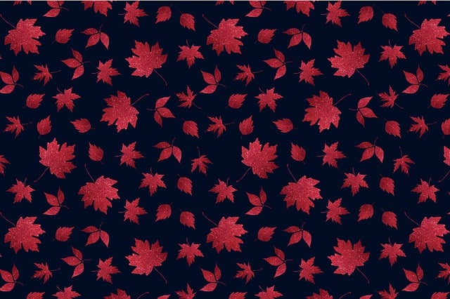 Autumn Leaves, Bladeren, Herfst, Natuur