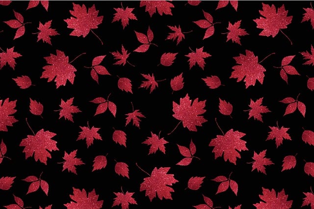 Free leaves autumn leaves autumn illustration