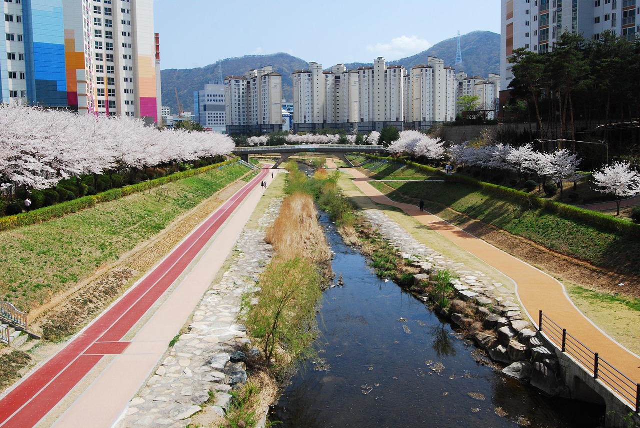 70개 이상 무료 하천 및 시냇물 사진 - Pixabay