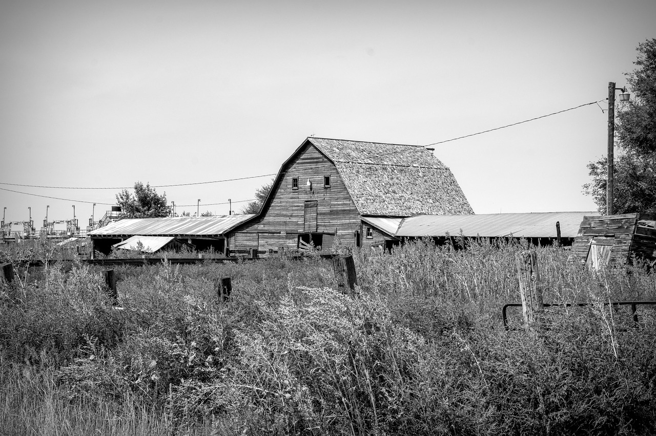 Barn - free online jigsaw puzzle photo