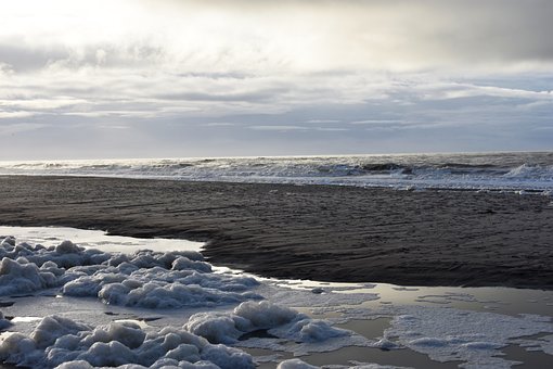 Free Dänemark Nature photo and picture