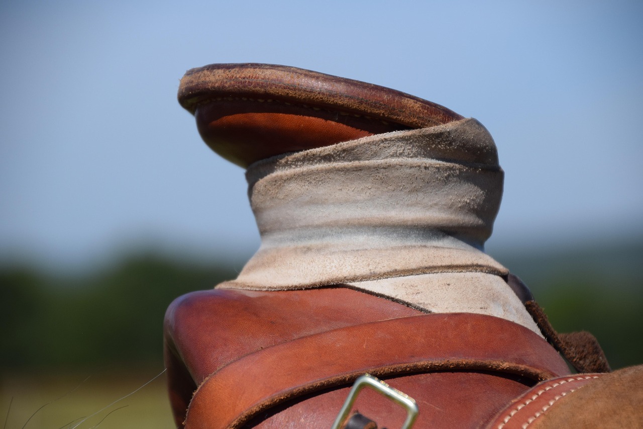 Saddle Horn Cowboy - Free photo on Pixabay - Pixabay