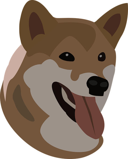 Hund, Kæledyr, Dyr, Stor Hund, Ven, Uld