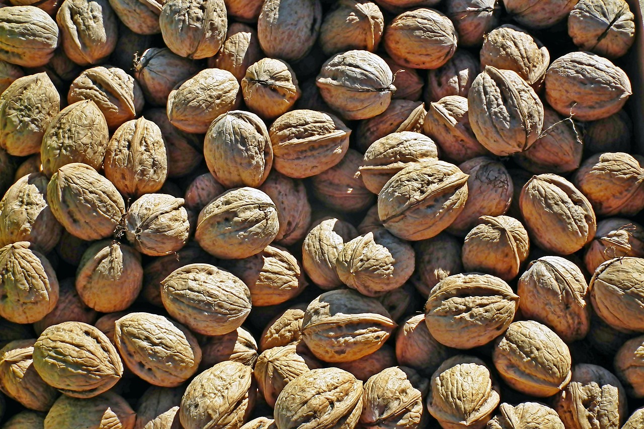 Nuts Italian Autumn Free photo on Pixabay Pixabay