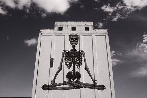 Free Halloween Skeleton photo and picture