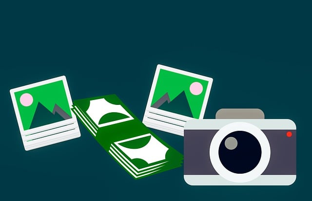 Free photography earnings business illustration