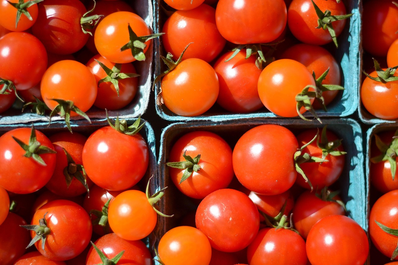 Tomato - free online jigsaw puzzle photo