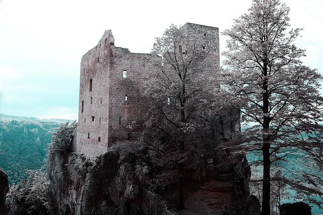 Free Castle Middle Ages photo and picture
