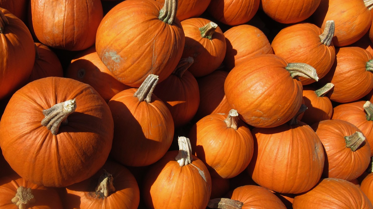 Pumpkin - free online jigsaw puzzle photo