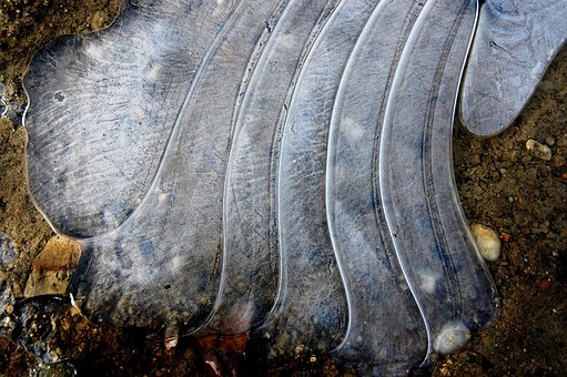 Frost, Vand, Frosset, Is, Natur, Pyt