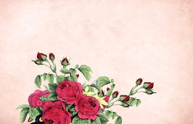 Free flower floral background floral illustration