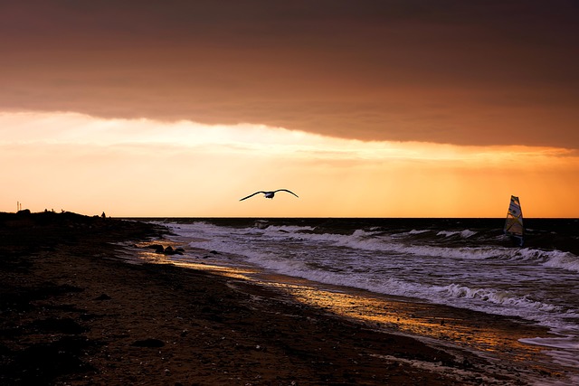 Free Coast Beach photo and picture