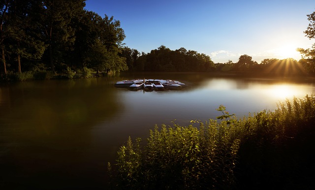Free Lake Landscape photo and picture