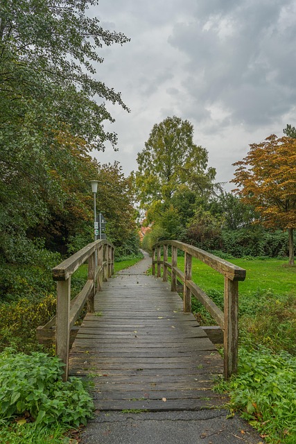 Free Bridge Path photo and picture