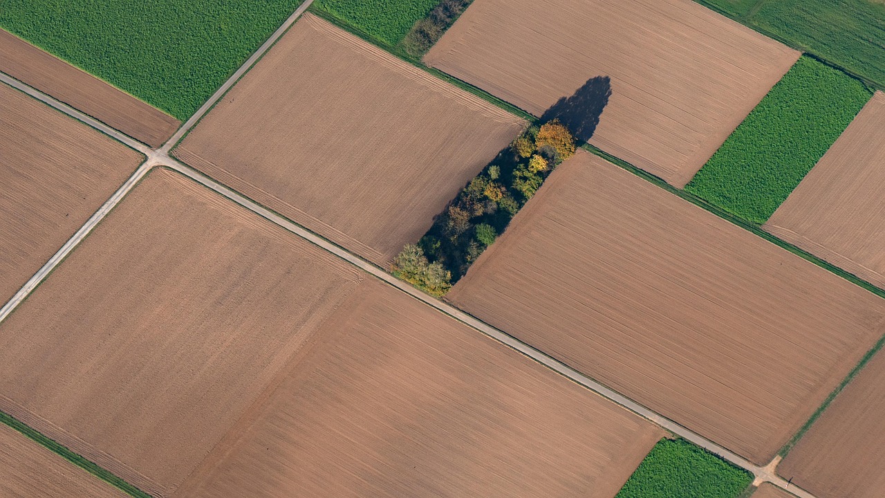 Arable Land Fields Bird'S Eye View Free photo on Pixabay Pixabay