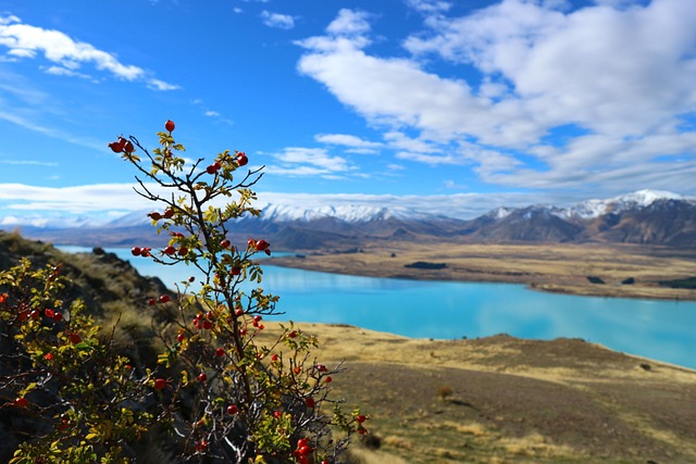 Free Lake New Zealand photo and picture