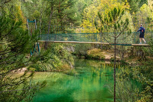 Flod, Bro, Vand, Træ, Natur