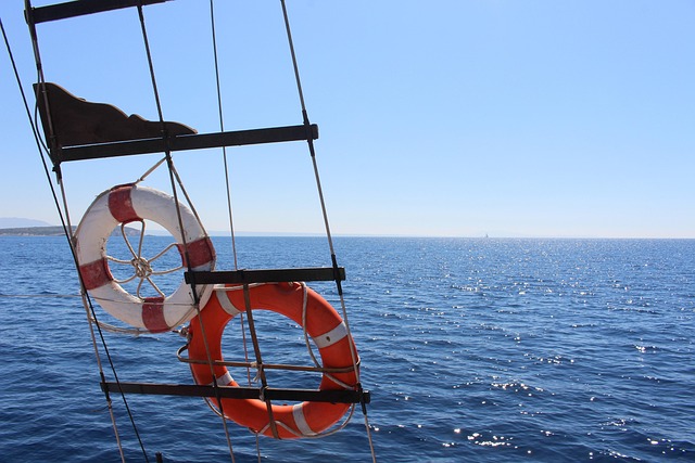 Free Ocean Lifesaver photo and picture