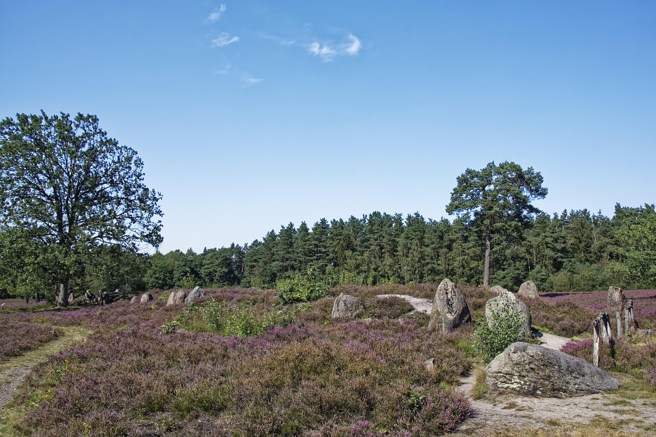 Deutschland Lüneburger Heide - Kostenloses Foto auf Pixabay - Pixabay