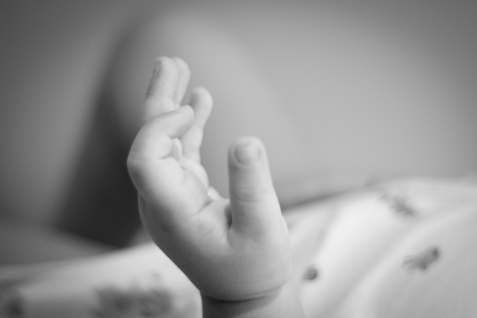 Bebé, Mano, Dulzura, Tierno, Niño, Padre, Familia