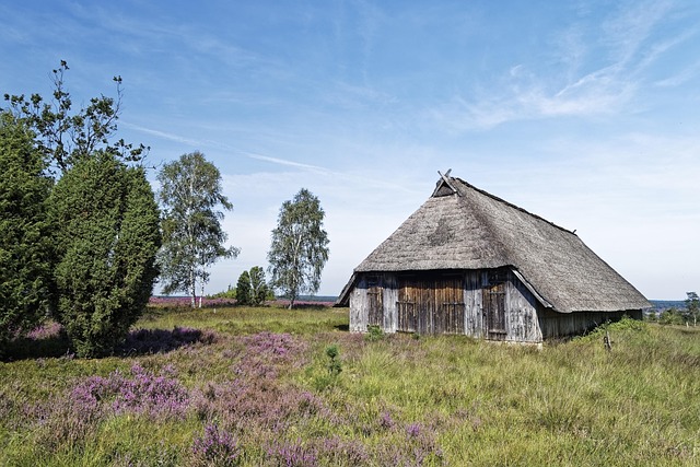 Free Germany Lüneburg Heath photo and picture