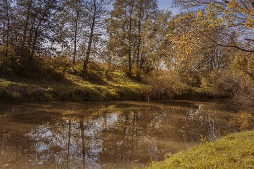 Herbst, Herbstlaub, Blätter, Natur