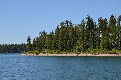 Lac, Ţărm, Copac, Copaci, Apă, Natura