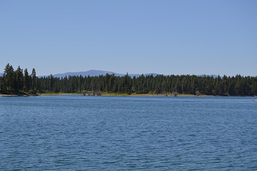 Lac, Munte, Apă, Vară, Pădure, Copaci
