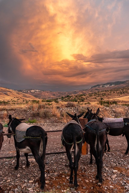 Free Kelokedara Cyprus photo and picture