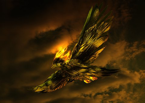 Free Bird Fantasy illustration and picture