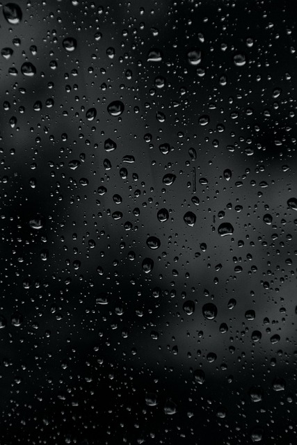 Free Rain Drops photo and picture