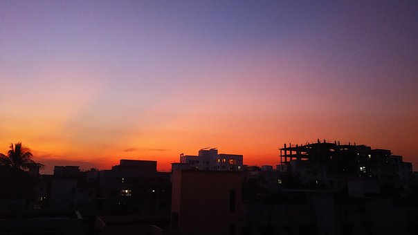 Free Bangladesh Green Tree Sky photo and picture