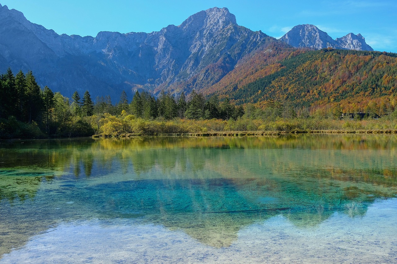Nature - free online jigsaw puzzle photo