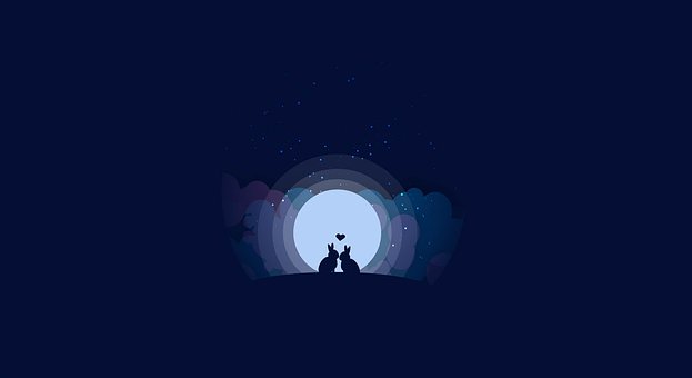 Coelhos, Romance, Coelho, Romântico