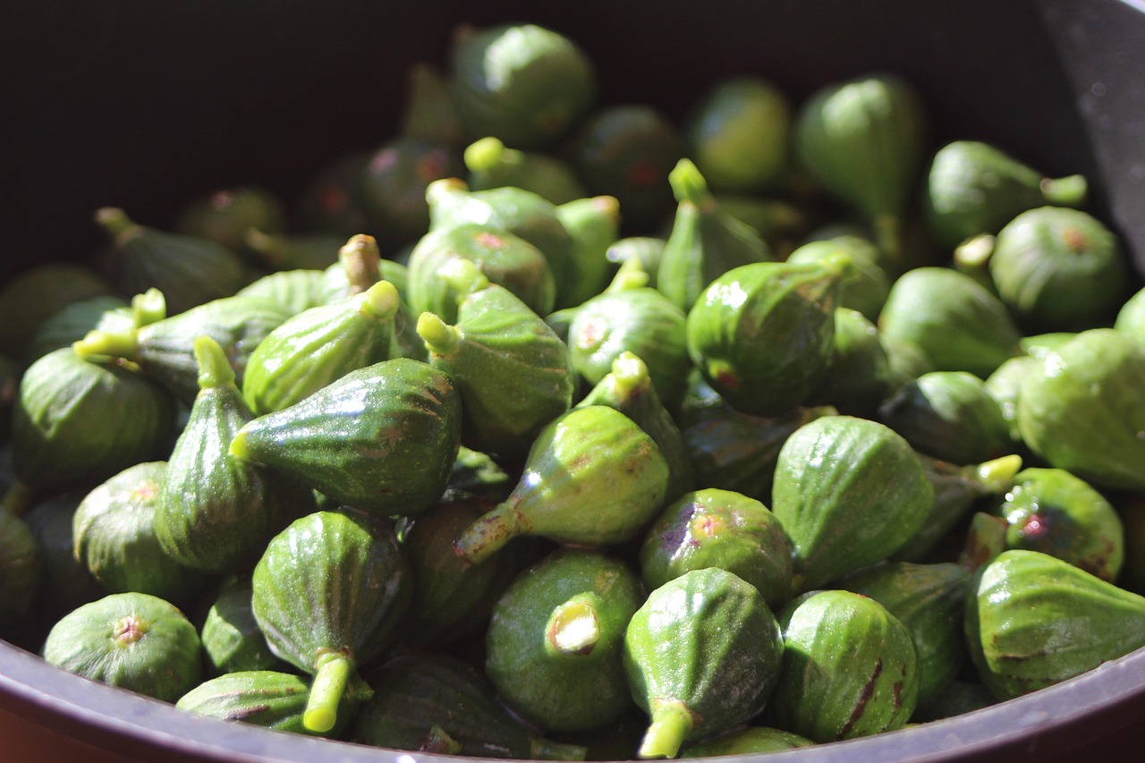 Los Higos Verdes Cosecha Verde Foto Gratis En Pixabay Pixabay