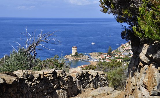 Free Tuscany Lily Island photo and picture
