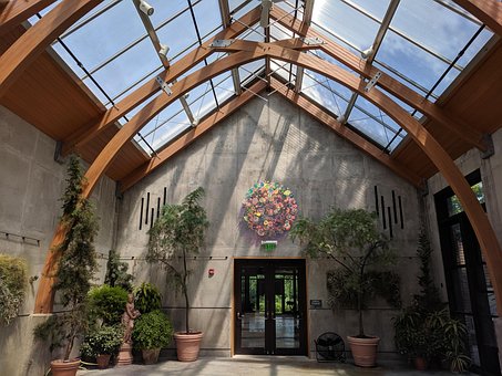 Free Greenhouse Plants photo and picture