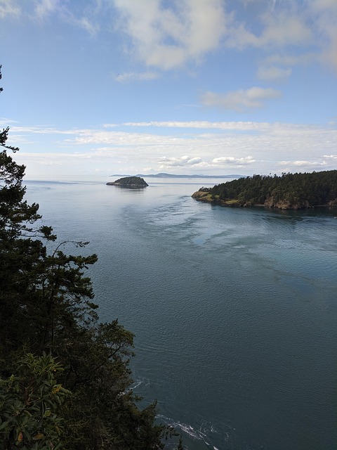 Free Water Ocean photo and picture