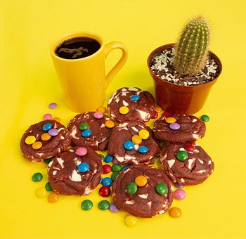 Free Cookie Chocolate photo and picture
