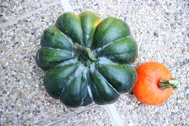 Free Pumpkin Green photo and picture